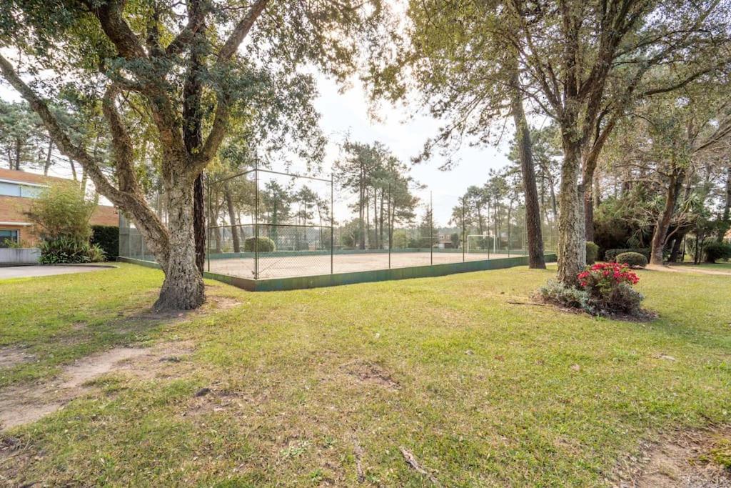 Quinta Da Barca Guest House إسبونسيندي المظهر الخارجي الصورة